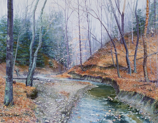 Creek North Chagrin