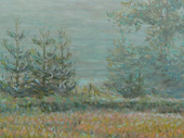 Meadow Draped