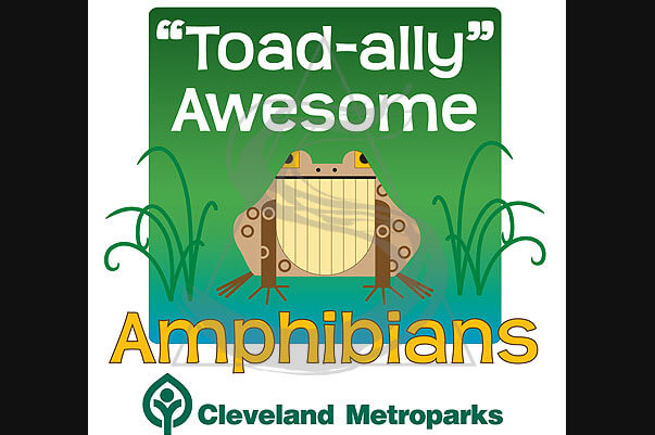 Toad-ally Awesome
