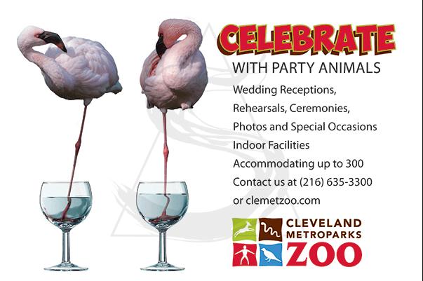 Cleveland Metroparks 100th Anniversary Logo Proposal