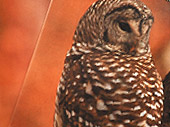 Pathfinder: A Guide to Cleveland Metroparks Brochure